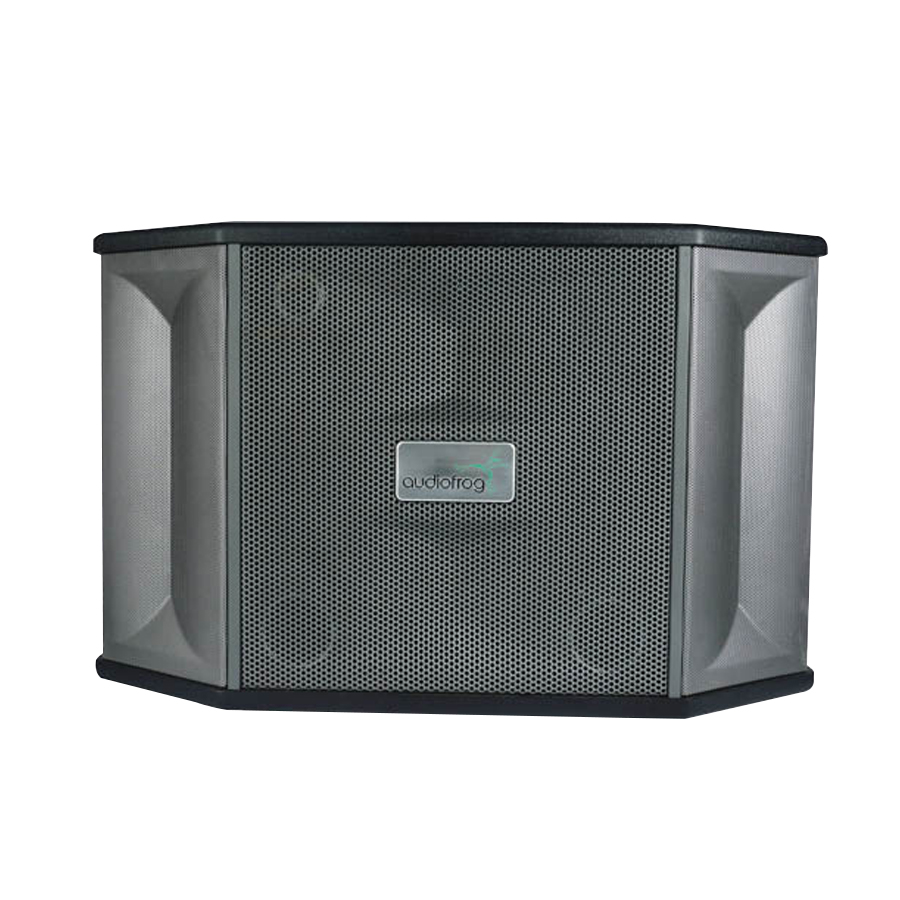 Loa karaoke AudioFrog M10F 01