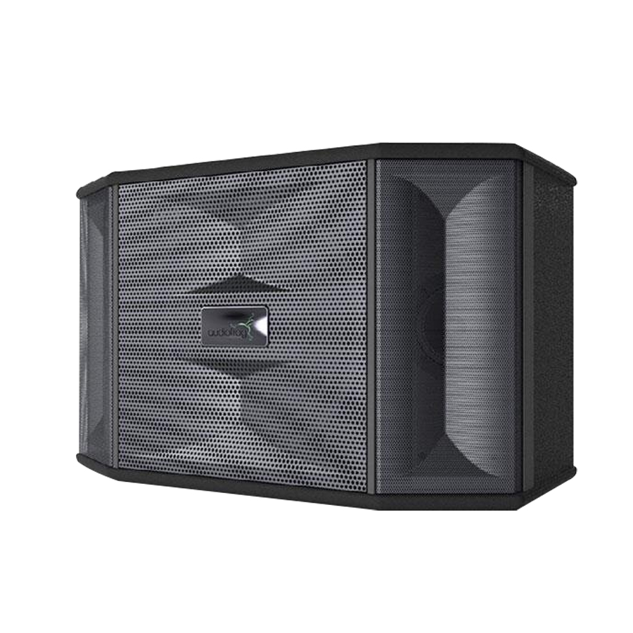 Loa karaoke AudioFrog M10F 02