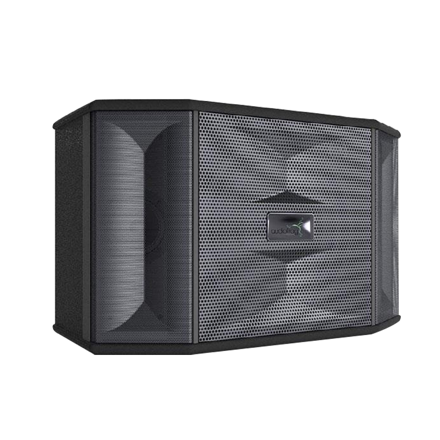 Loa karaoke AudioFrog M10F 03