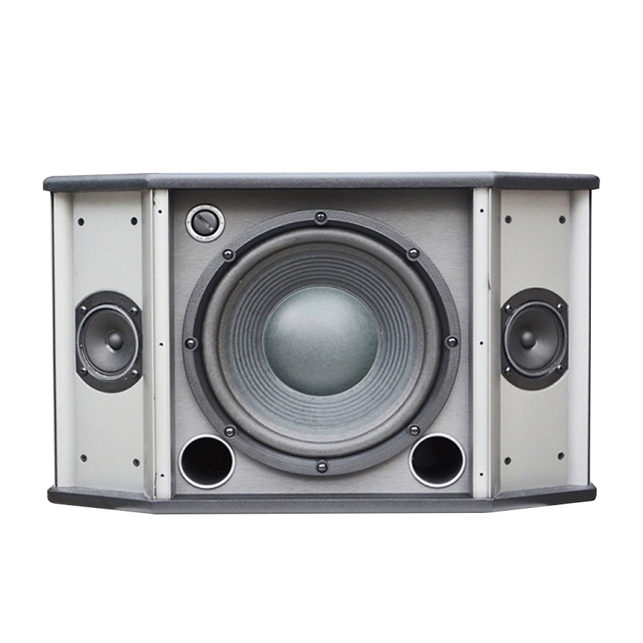 Loa karaoke AudioFrog M10F 04