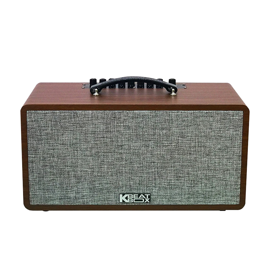 Loa karaoke di động ACNOS CS390 02